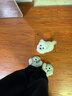 寵邁鑫純種比熊幼犬小型小體活物卷毛血統比熊犬茶杯寵物狗狗長(cháng)不大可愛(ài) 血統級 比熊 公 曬單實(shí)拍圖