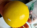 優(yōu)味集冬蜜黃晶果海南牛奶雅美新鮮稀有孕婦水果鮮果時(shí)令生鮮 1斤凈重裝（單果100g+） 曬單實(shí)拍圖