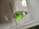 七彩夜光海螺螺中螺DIY奶油膠鑰匙扣包包耳環(huán)掛件亞克力飾品擺件 海螺掛件-隨機顏色-1個(gè) 無(wú)規格 曬單實(shí)拍圖