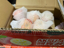 阿克蘇蘋(píng)果源頭直發(fā)新疆阿克蘇冰糖心蘋(píng)果紅富士丑蘋(píng)果當季應季新鮮時(shí)令水果 10斤【家庭裝】單果75-85mm 凈重8.5斤 曬單實(shí)拍圖