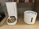 小佩智能自動(dòng)喂食器SOLO白色 貓碗貓狗喂食器定時(shí)定量貓咪自動(dòng)投食器 曬單實(shí)拍圖