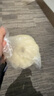 松下（Panasonic）沖牙器洗牙器水牙線(xiàn)伸縮小圓管潔牙器牙齒沖洗器教師節禮物生日送男女友小巧便攜出游DJ33白 曬單實(shí)拍圖