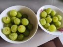 【產(chǎn)地直采】陽(yáng)光玫瑰青提 1.5kg 單果8g起 曬單實(shí)拍圖