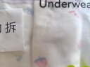 棉奇熊女童內褲純棉兒童四角短褲2025新款棉質(zhì)大童平角褲4條裝P08-XXXL 曬單實(shí)拍圖