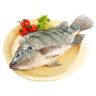 鮮活羅非魚(yú)600-700g/條 曬單實(shí)拍圖