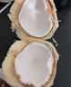 佳沃 JOYVIO泰國進(jìn)口椰青香水椰子 6個(gè)裝 中果800g+ 水果 源頭直發(fā) 中秋禮盒 曬單實(shí)拍圖