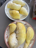 【保4房肉】A級進(jìn)口金枕鮮榴蓮1粒2-2.5kg(M) 曬單實(shí)拍圖