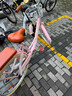 飛鴿（FLYING PIGEON）自行車(chē)成人通勤車(chē)自行車(chē)學(xué)生單車(chē)成人自行車(chē)通勤自行車(chē)女士自行車(chē) 標配櫻花粉|單速|(zhì)輻條輪+禮包 26寸適合160-185cm 曬單實(shí)拍圖
