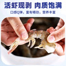 漁游記鮮凍翡翠生蝦仁2斤（含保護冰0.15kg）180-240個(gè)活剝青蝦仁 曬單實(shí)拍圖
