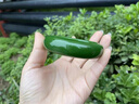 拾想新疆收藏和田玉碧玉手鐲無(wú)黑點(diǎn)菠菜綠碧玉手鐲媽媽款玉鐲子附證書(shū) 圈口62mm 曬單實(shí)拍圖