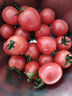 京地達山東圣女果小番茄 凈重4.5斤 單果8g+ 水果小番茄源頭直發(fā)包郵 曬單實(shí)拍圖
