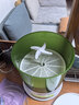 豆芽機智能豆芽機家用全自動(dòng)大容量生豆芽菜桶發(fā)綠豆芽神器小型發(fā)芽罐盆 3層+一個(gè)壓盤(pán) 曬單實(shí)拍圖