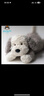 Jellycat唐布利牧羊犬動(dòng)物毛絨玩偶安撫玩具狗公仔娃娃生日新婚禮物 淺灰色 Medium 曬單實(shí)拍圖