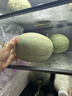 鮮友季正宗山東哈密瓜曉蜜17新鮮西州蜜瓜網(wǎng)紋瓜現摘當季水果甜瓜整箱 8.5-9斤 曬單實(shí)拍圖