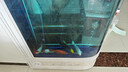 江彩魚(yú)缸屏風(fēng)隔斷玻璃生態(tài)水族箱子彈頭家用客廳圓柱大型屏風(fēng)金魚(yú)缸 1米（顯示屏+放水閥） 曬單實(shí)拍圖