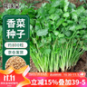 花沃里香菜種子約800粒 調味菜四季蔬菜種子大全陽(yáng)臺盆栽/庭院田間種籽 曬單實(shí)拍圖