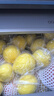 京鮮生 安岳黃檸檬16粒 單果95g-120g 生鮮水果 曬單實(shí)拍圖