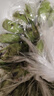 粵迎廣西小米蕉【青皮發(fā)貨收到需催熟】小香蕉新鮮現砍水果生鮮產(chǎn)地直 5斤精選果【香甜軟糯】?jì)?.5斤 曬單實(shí)拍圖