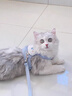 JCZS德國貓咪牽引繩可調節遛貓繩子可愛(ài)幼貓外出專(zhuān)用胸背帶寵物用品 小熊-藍色【背心式 雙重鎖扣 防掙脫】繩子1.2米 S-2-6斤【具體需以胸圍尺碼為準】 曬單實(shí)拍圖