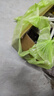 抽繩收口垃圾袋家用手提式加厚實(shí)惠裝廚房中大號垃圾袋戶(hù)外便攜款 手提式清潔袋4卷/40只. 彩色 卷 曬單實(shí)拍圖