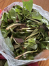 辰實(shí)【現挖發(fā)順豐】魚(yú)腥草新鮮 折耳根葉子 側耳根節節根蔬菜現挖發(fā) 4斤四川魚(yú)腥草嫩葉【順豐快遞】 曬單實(shí)拍圖