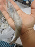 北海灣 厄瓜多爾白蝦 大蝦鮮活速凍鹽凍南美白蝦基圍蝦海蝦對(duì)蝦海鮮批發(fā) 【特大蝦 15-18cm】 3斤(凈重) 曬單實(shí)拍圖