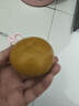 皇家小虎拇指生煎包3斤/約150個(gè)兒童早餐學(xué)生小籠包子速凍半成品 源頭直發(fā) 曬單實(shí)拍圖