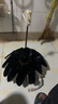 Apple 蘋果 iPhone 13系列/13Pro/13Mini/13ProMax 二手手機 顏色規(guī)格參考質(zhì)檢報告 蘋果 iPhone 13 Pro 曬單實拍圖