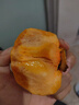 青尊園云南巧克力脆柿子甜脆柿新鮮水果禮盒孕婦脆甜無核當(dāng)季整箱硬柿子 2斤 曬單實(shí)拍圖