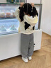 木木屋品牌童裝兒童套裝女寶寶衣服春秋2025新款女童衛(wèi)衣開衫小女孩褲子 米白色 90 適合80-90年齡1-2歲左右 曬單實拍圖