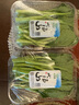 小湯山 菜心 約250g  新鮮蔬菜當天采摘北京農場(chǎng)順豐到家 曬單實(shí)拍圖