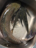 漁之源（Yuzhiyuan）碳素抄網(wǎng)竿抄網(wǎng)套裝超輕超硬全套撈魚(yú)釣魚(yú)伸縮 2.1m40cm去野二代 曬單實(shí)拍圖