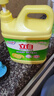 立白檸檬洗潔精1kg桶果蔬清洗快速去油洗A類(lèi)食品用洗滌劑洗碗液洗滌靈 曬單實(shí)拍圖