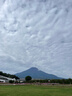 【樂(lè )游日本自由雙城】本州7天6晚旅游【含機票團簽】東京富士山+大阪+京都跟團游本州全景賞秋 天津出發(fā) 兩人同行 成人 曬單實(shí)拍圖