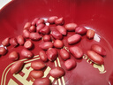 柴火大院 紅花生米 2斤（中粒 紅皮 生花生米 東北五谷雜糧 粗糧） 曬單實(shí)拍圖
