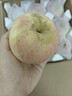 紅富士蘋(píng)果水果新鮮當季整箱10斤平果冰糖心丑萍果脆甜包郵 整箱10斤【80-85mm】 曬單實(shí)拍圖