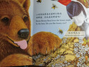 亮麗精美觸摸書(shū)—小熊波比 0-2歲幼兒?jiǎn)⒚煞抡嬗|摸書(shū) 樂(lè )樂(lè )趣童書(shū)低幼認知繪本  課外書(shū) 曬單實(shí)拍圖