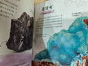 DK珍奇博物館（礦物+真菌）（全2冊）   英國DK公司著(zhù) DK珍奇博物館系列  6歲以上 兒童科普讀物 曬單實(shí)拍圖