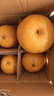 三萌果蔬山東秋月梨 當季新鮮脆甜冰糖梨子水果禮盒節日送禮 5斤手挑果【單果350g起】?jì)糁?.5斤 曬單實(shí)拍圖