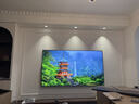 東芝電視小芝士85Z600QF PRO 85英寸 音畫(huà)雙芯Mini LED【包安裝版-固定掛架送裝一體】300Hz國家補貼 曬單實(shí)拍圖