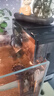 徹朗魚(yú)缸過(guò)濾器瀑布過(guò)濾器三合一凈水循環(huán)壁掛式制氧除油膜器 【濾倉空間提升35%】6W 適用60以?xún)若~(yú)缸 曬單實(shí)拍圖