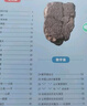 新教材里的大百科一年級上冊 注音版新教材里的大百科2025年新版同步新教材1-6年級全國通用上冊語(yǔ)數科學(xué)知識拓展孩子的第二課堂拓展小學(xué)生視野同步課本 數學(xué) 科學(xué) 三科合一 同步新教材 曬單實(shí)拍圖