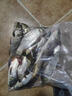 玉米餌料野釣黑坑水庫專(zhuān)用嫩甜鯉魚(yú)鯽魚(yú)翹嘴草魚(yú)免打窩大顆粒單開(kāi) 一瓶 曬單實(shí)拍圖