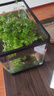 闊庭（KUOTING）魚(yú)缸桌面透明生態(tài)魚(yú)缸客廳水族箱黑色 曬單實(shí)拍圖