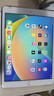 Apple 蘋(píng)果iPad 2017/2018/2019/2020款 二手平板電腦 二手平板 蘋(píng)果平板 iPad 2019 128G WiFi版 99成新 曬單實(shí)拍圖