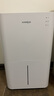 松京（SenseGene）除濕機/抽濕機  除濕量20L/天 家用地下室吸濕器 干燥機干衣凈化  DK02 曬單實(shí)拍圖