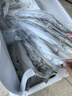 鮮喜利舟山帶魚整條新鮮鮮活冷凍小眼海釣油帶魚特大非刀魚可加禮盒 1.5kg 4-6兩/條【凈重3斤裝】共6條 曬單實拍圖