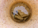 化氏一鴻 魚(yú)竿 高碳逆絲漁具 釣魚(yú)竿  手竿臺釣竿輕硬鯉魚(yú)竿套裝魚(yú)桿 5.4m +4.5米+免費配節 曬單實(shí)拍圖