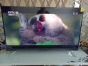Skyworth創(chuàng  )維電視 75英寸 2026款 4K 超高清遠場(chǎng)語(yǔ)音金屬全面屏平板電視 75英寸 智能網(wǎng)絡(luò )版（長(cháng)124高74） 曬單實(shí)拍圖