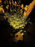 茯見戶外射燈照樹燈草坪燈地插太陽能室外防水庭院造景布置花園射樹 18LED暖光+三檔調(diào)光 曬單實(shí)拍圖